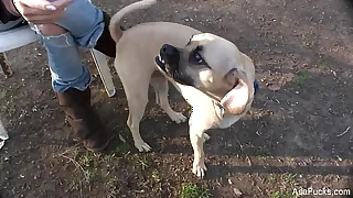 421 pornstar porn videos